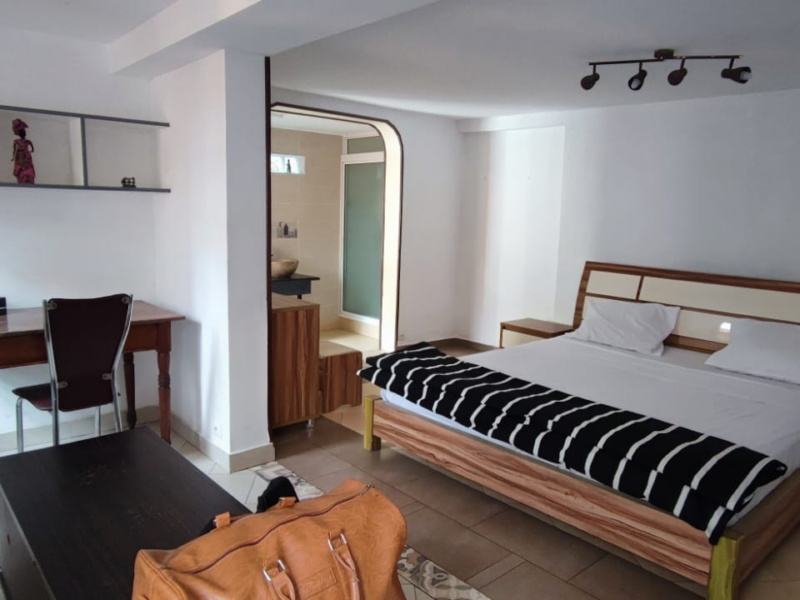 Appartement de luxe au cœur de la ville